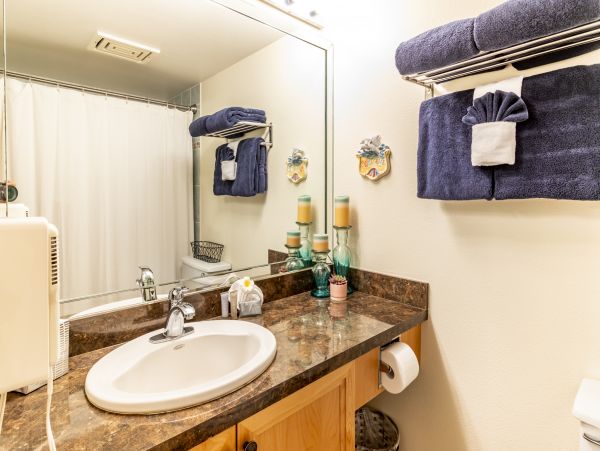 Wailea Home 1025397