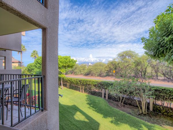Wailea Home 1025397
