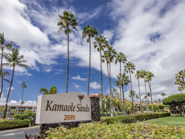 Wailea Home 1025397