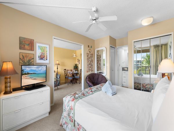 Wailea Home 1025399