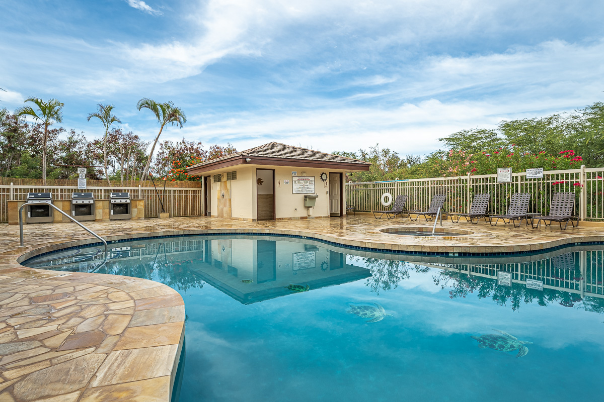 Wailea Home 1025399