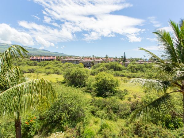 Wailea Home 1025400