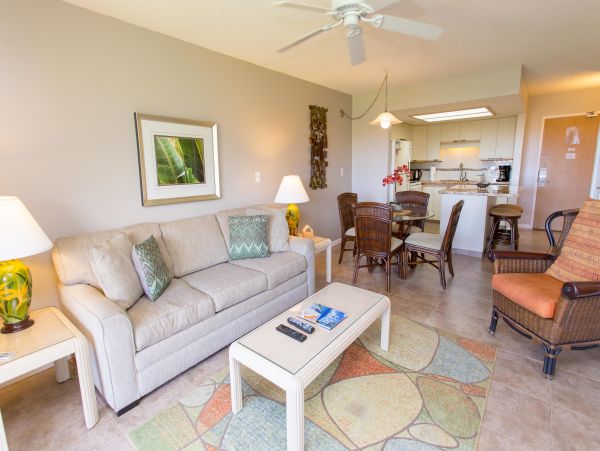 Wailea Home 1025400