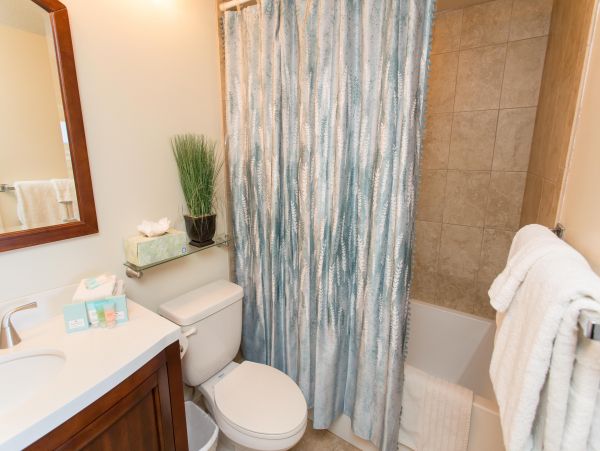 Wailea Home 1025400