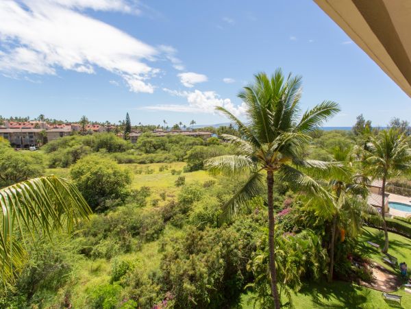 Wailea Home 1025400