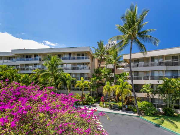 Wailea Home 1025402