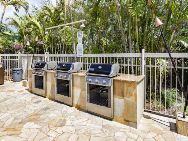 Wailea Home 1025402