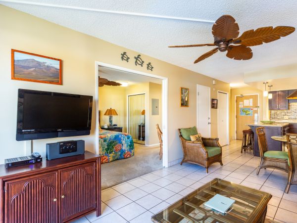 Wailea Home 1025403