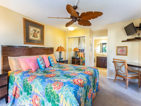 Wailea Home 1025403