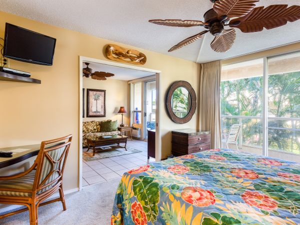 Wailea Home 1025403