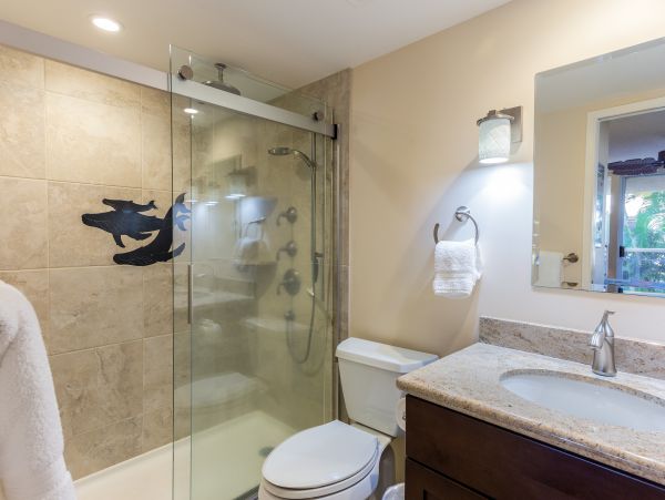Wailea Home 1025403