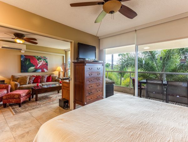 Wailea Home 1025404
