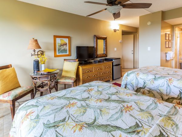 Wailea Home 1025404