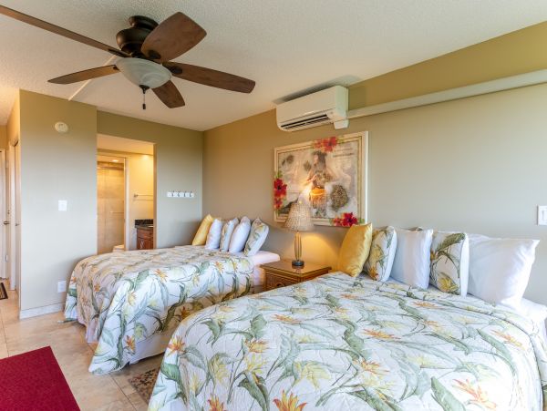 Wailea Home 1025404