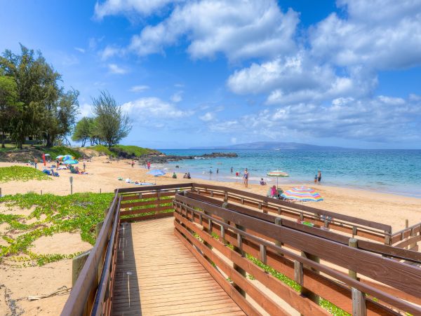 Wailea Home 1025406