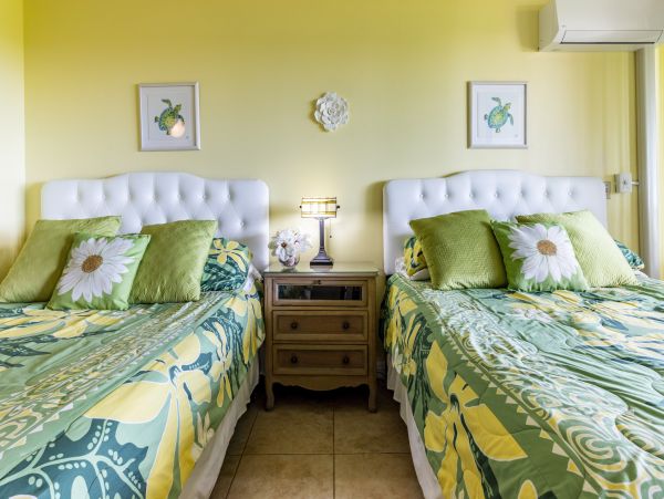 Wailea Home 1025409