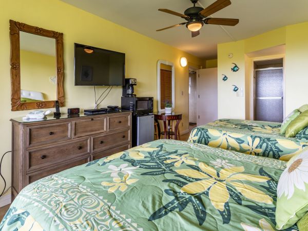 Wailea Home 1025409