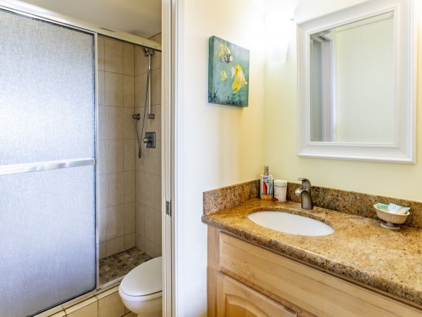Wailea Home 1025409