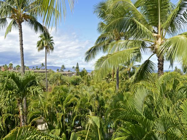 Wailea Home 1025409