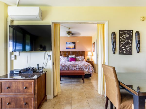 Wailea Home 1025410