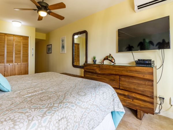 Wailea Home 1025410