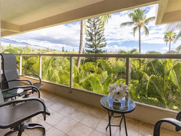 Wailea Home 1025410