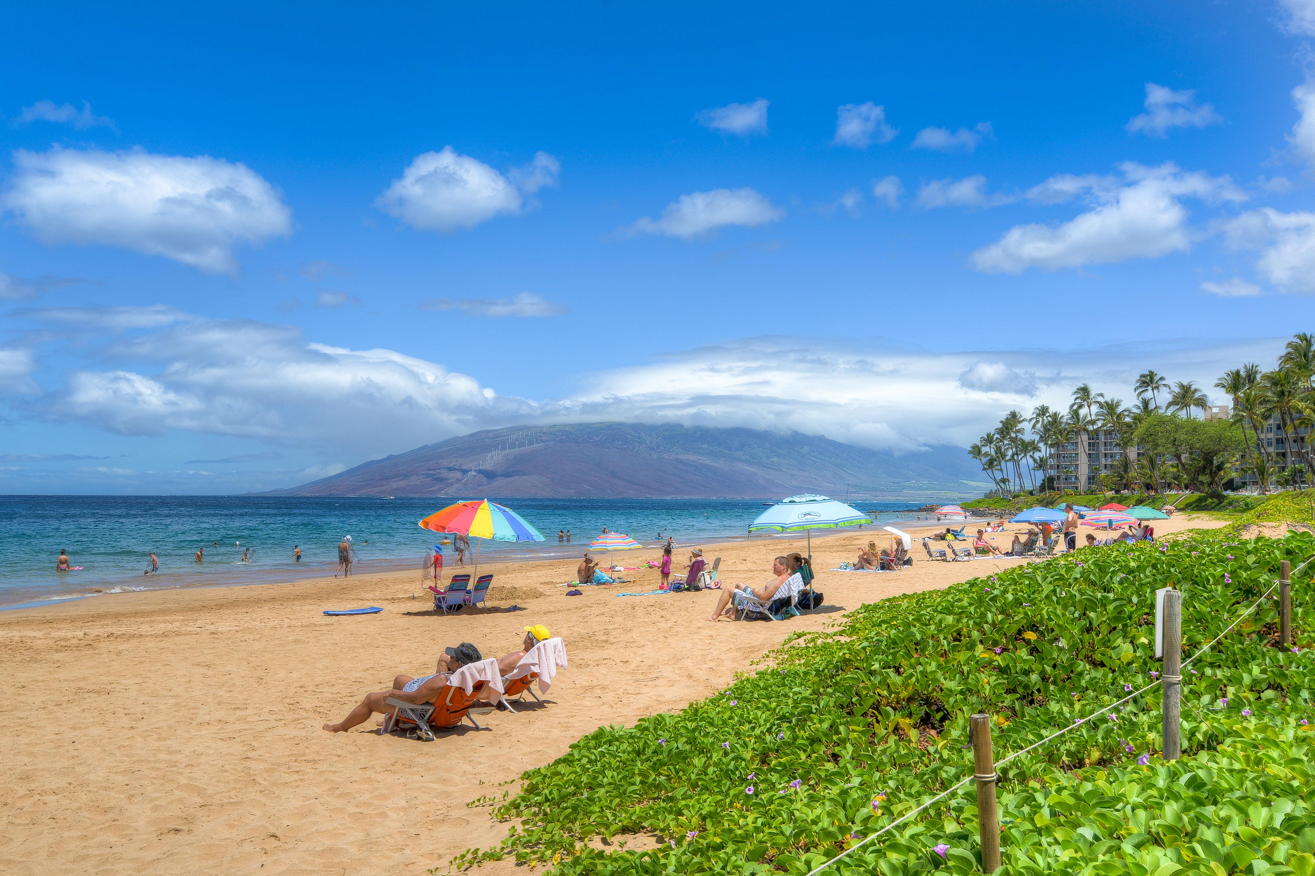 Wailea Home 1025410