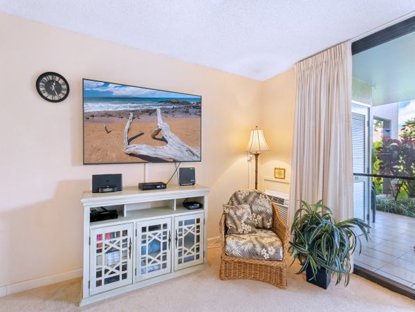 Wailea Home 1025411