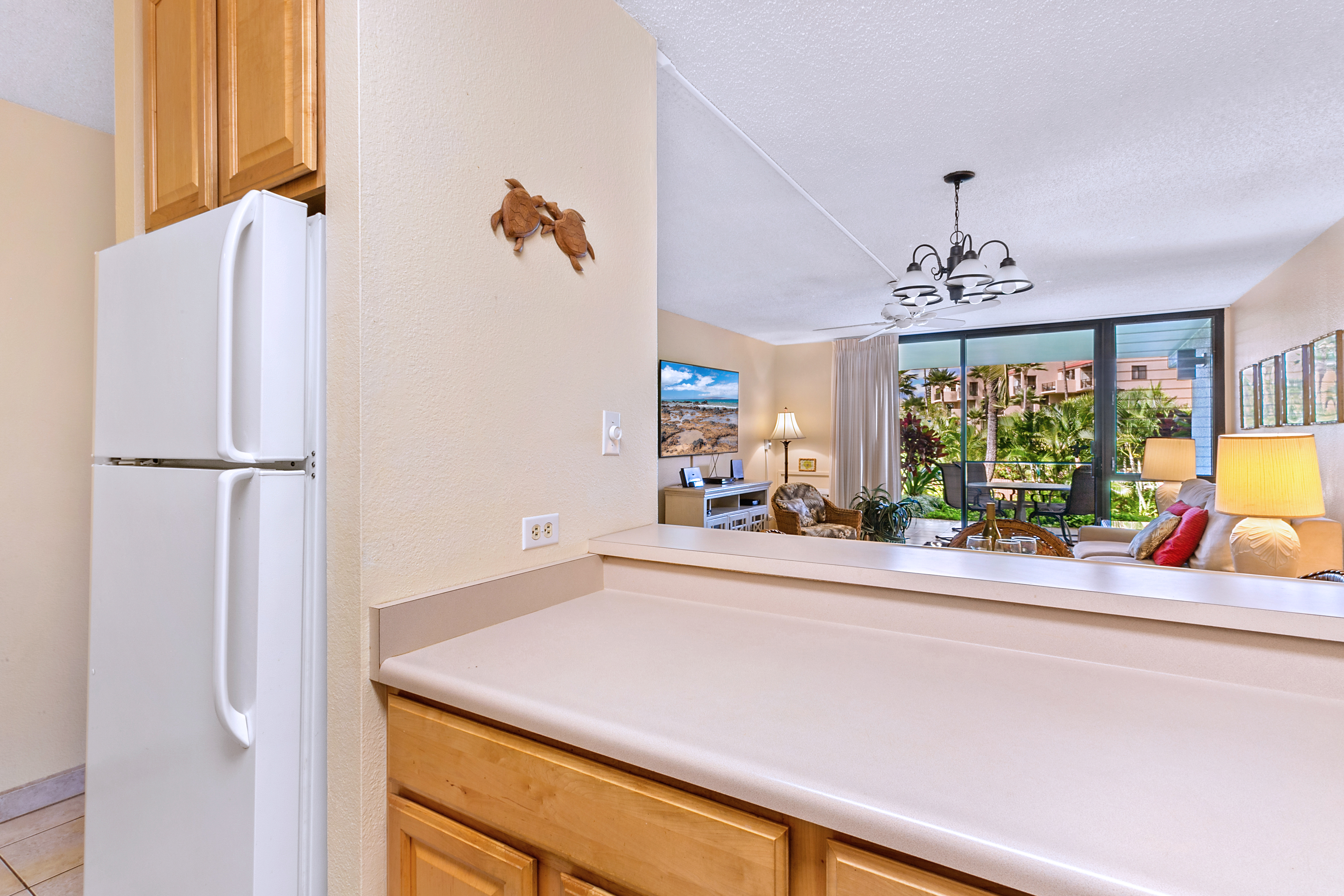 Wailea Home 1025411
