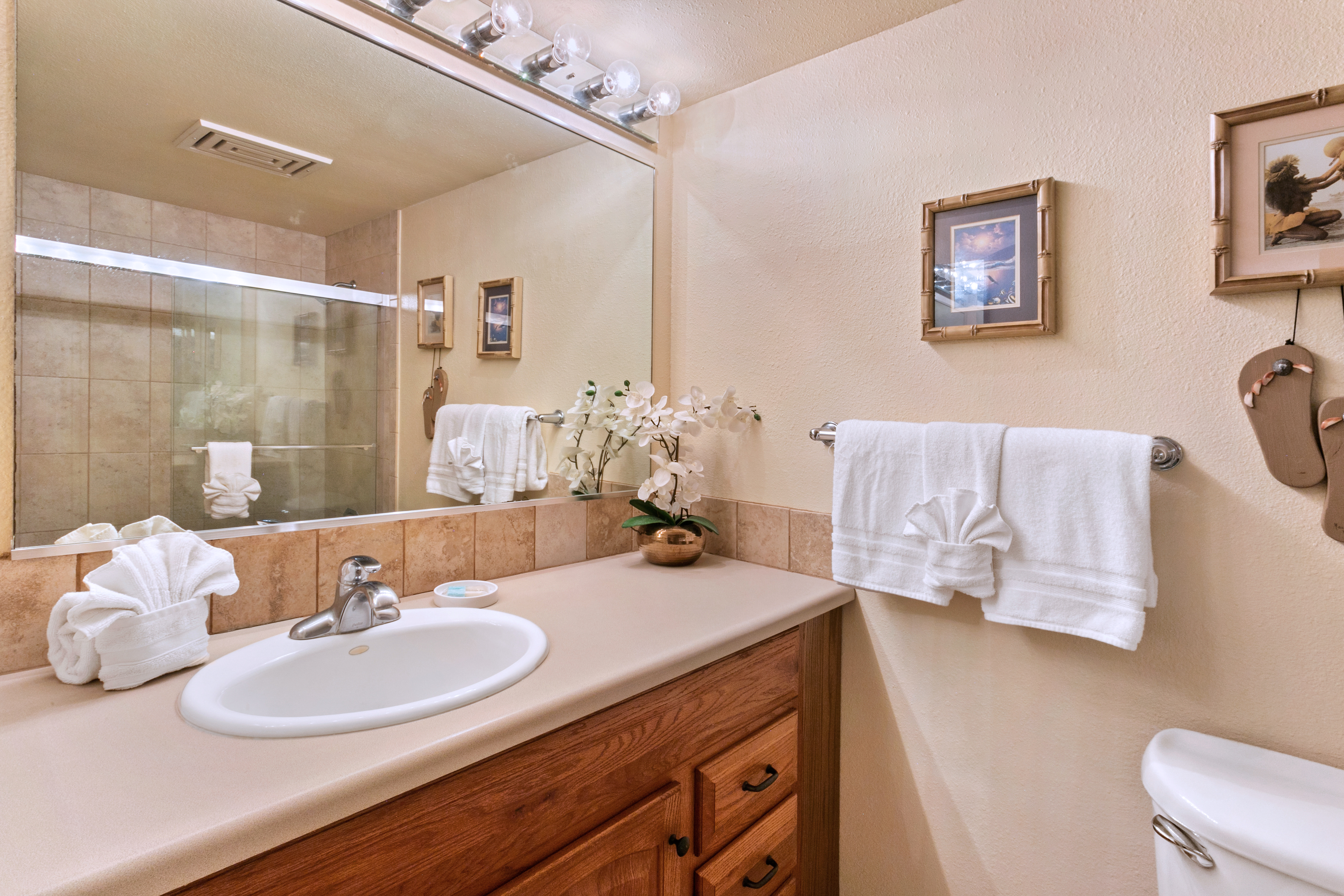 Wailea Home 1025411