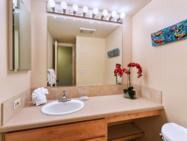 Wailea Home 1025411