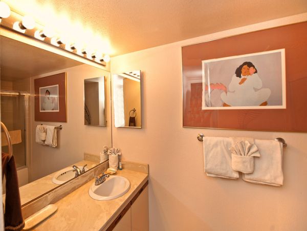 Wailea Home 1025413