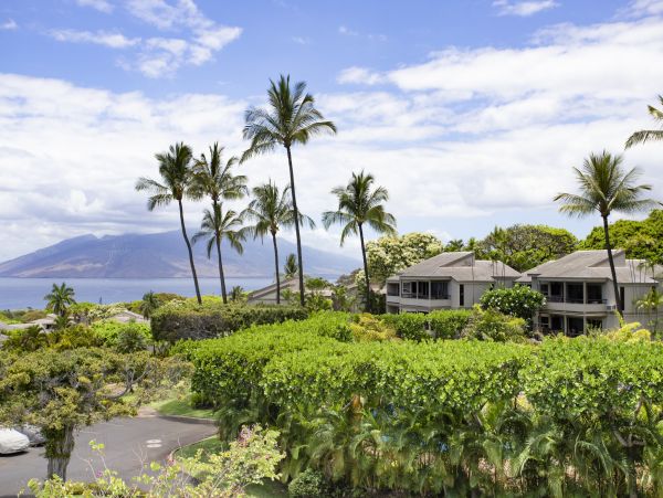 Wailea Home 1025415