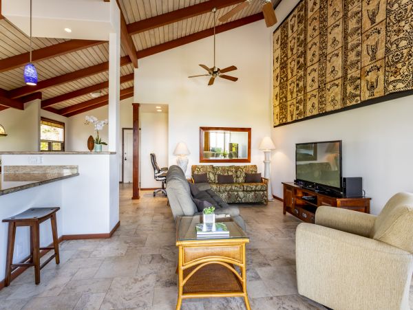 Wailea Home 1025415