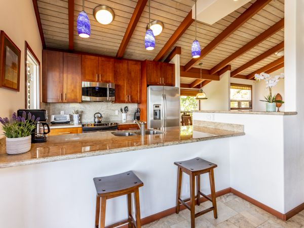 Wailea Home 1025415