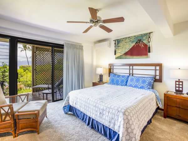 Wailea Home 1025415