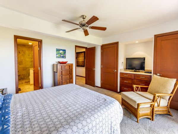 Wailea Home 1025415