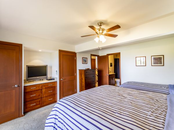 Wailea Home 1025415