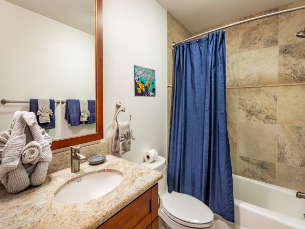 Wailea Home 1025415