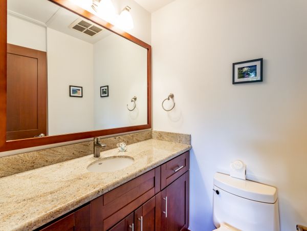 Wailea Home 1025415