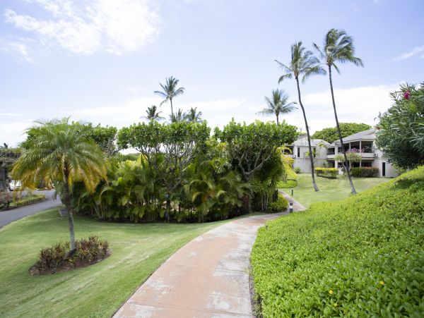 Wailea Home 1025415
