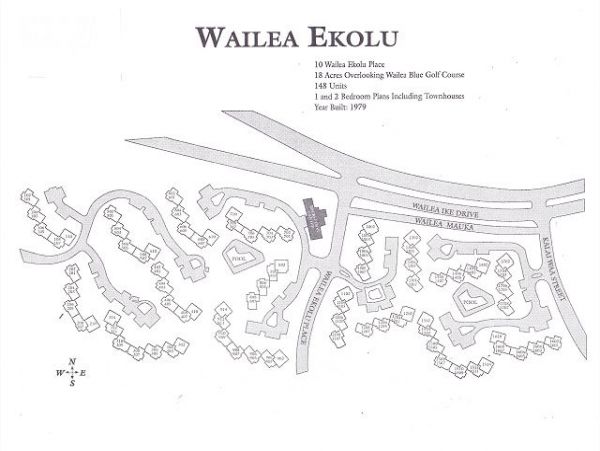 Wailea Home 1025415