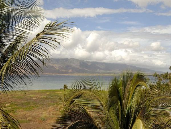 Kihei Home 1025416