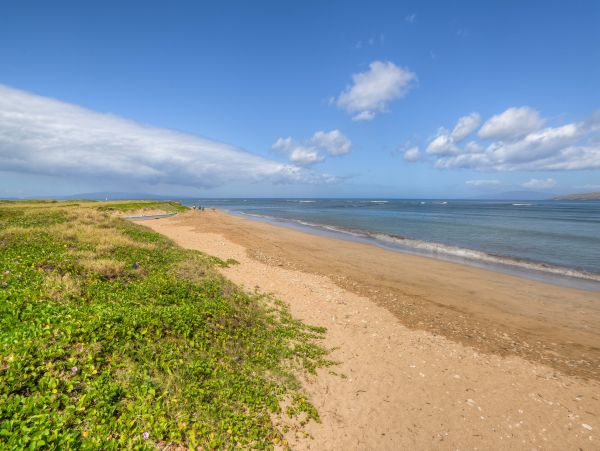 Kihei Home 1025416