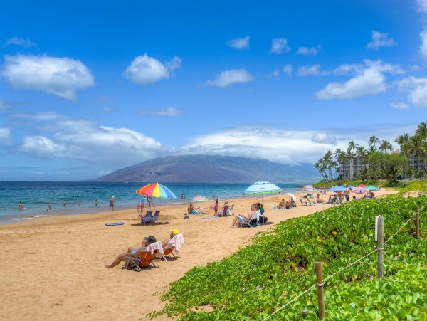 Wailea Home 1025417
