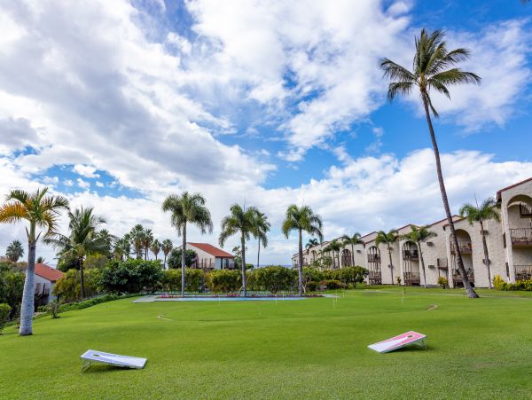 Wailea Home 1025417