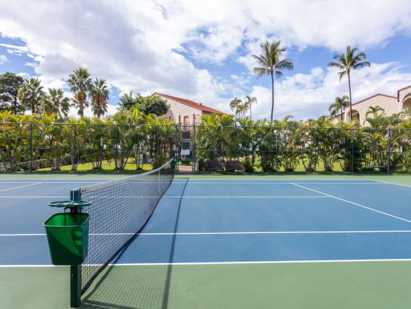 Wailea Home 1025417