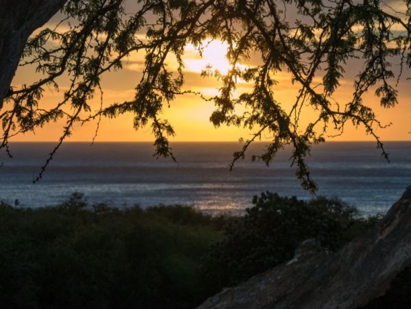 Kohala Coast Home 1025420
