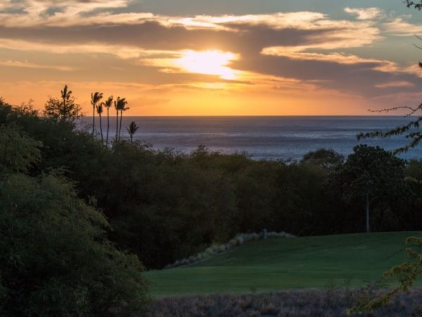 Kohala Coast Home 1025420