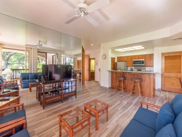 Hilo District Home 1025425